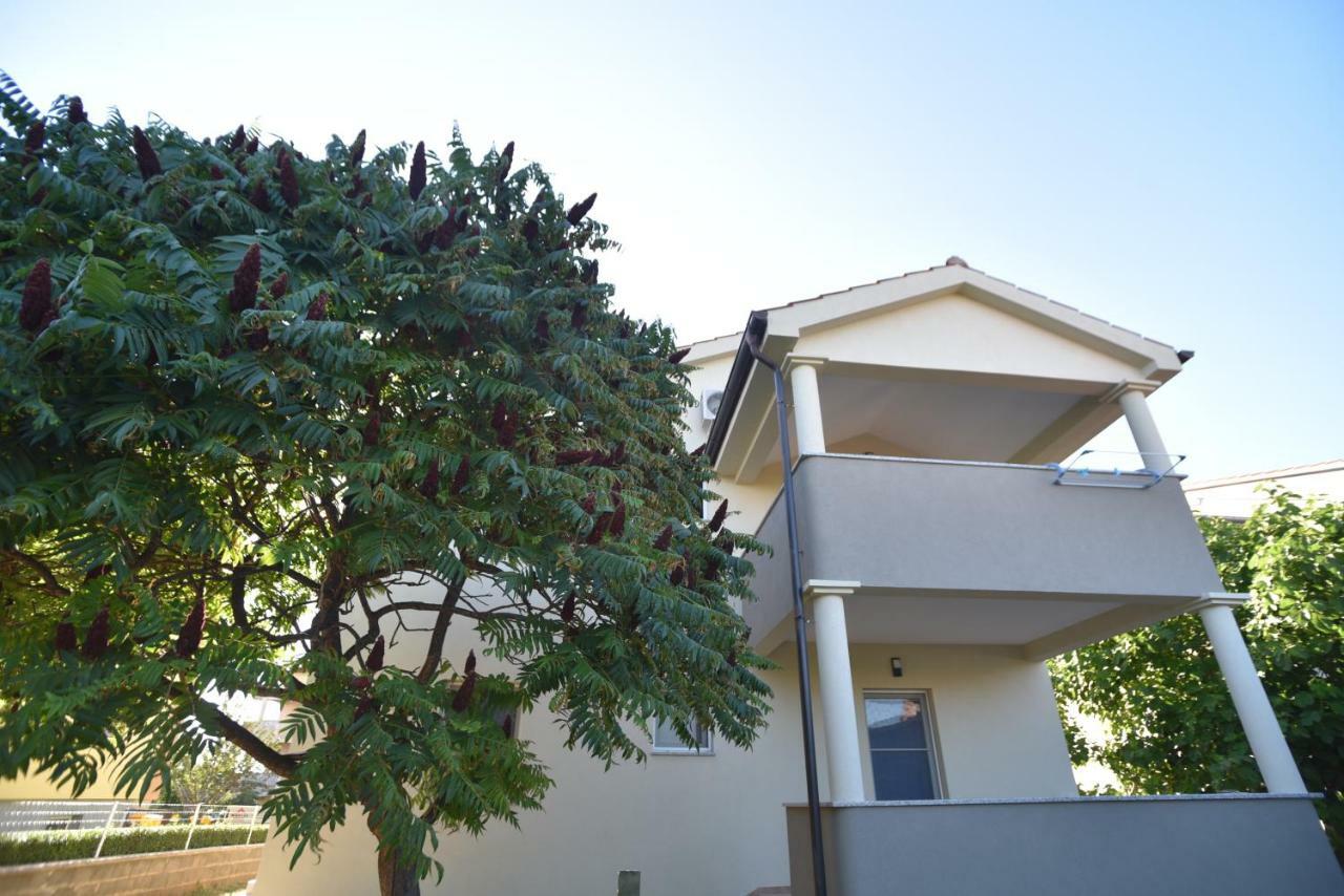 Apartments Armando ザダル エクステリア 写真